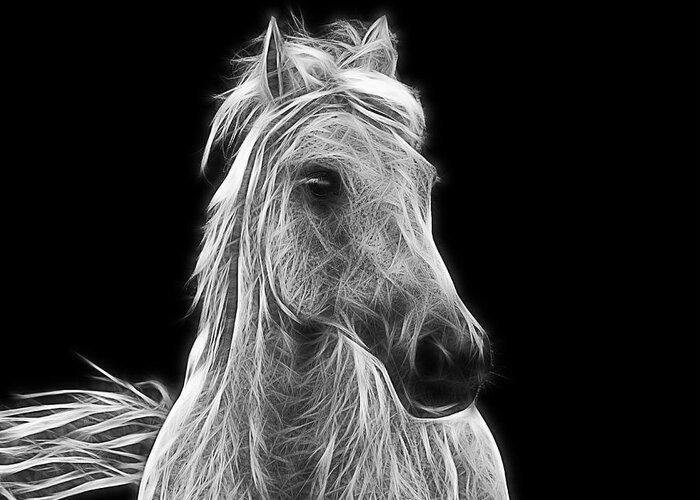 Horse Greeting Card featuring the photograph Energetic White Horse by Joachim G Pinkawa