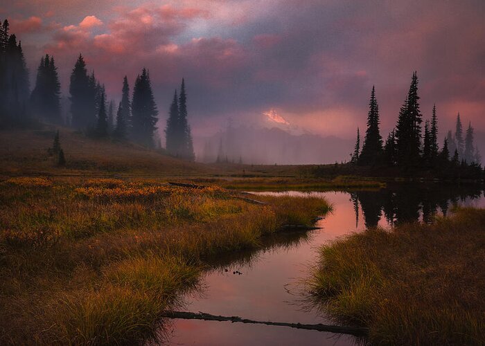 Mt. Rainier Greeting Card featuring the photograph Engulfed by Gene Garnace