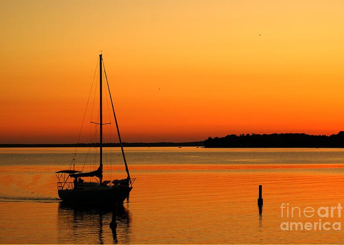 Sunset Greeting Card featuring the photograph Enjoy The Moment 01 by Aimelle Ml