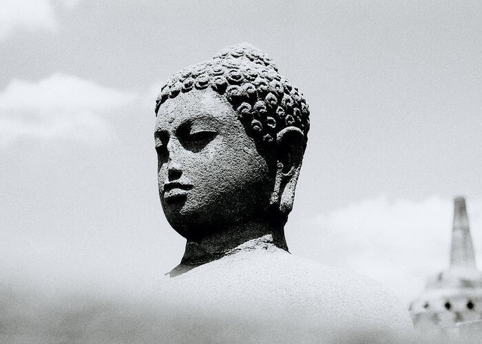 Buddha Greeting Card featuring the photograph The Beauty Of The Buddha by Shaun Higson