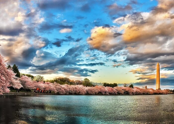 Cherry Blossoms Greeting Card featuring the photograph Evening Clearing Skies in Spring by SCB Captures