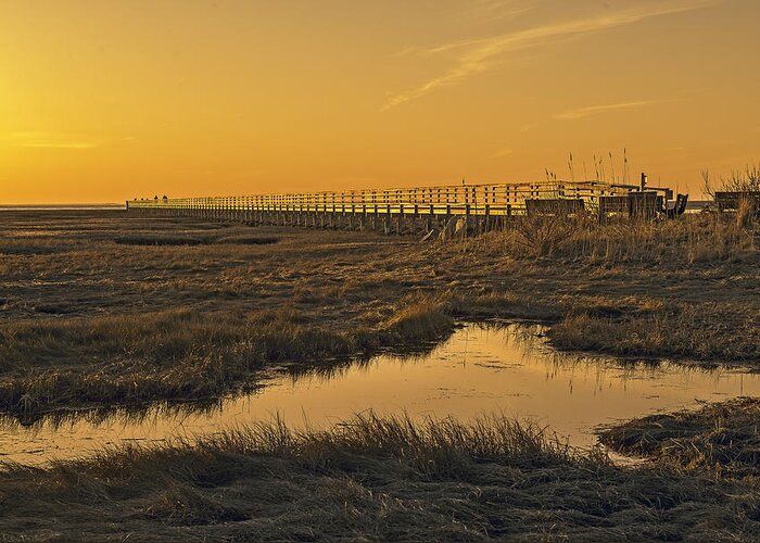 Cape Cod Greeting Card featuring the photograph Evening Light on the Marsh by Gordon Ripley