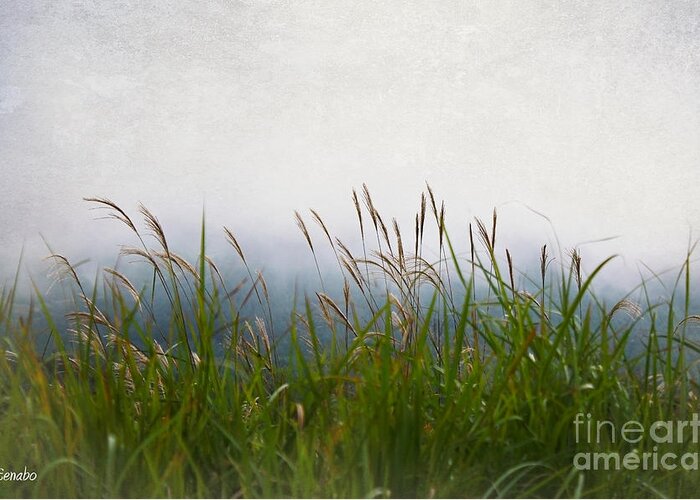 Landscape Greeting Card featuring the photograph Evening Mist by Eena Bo