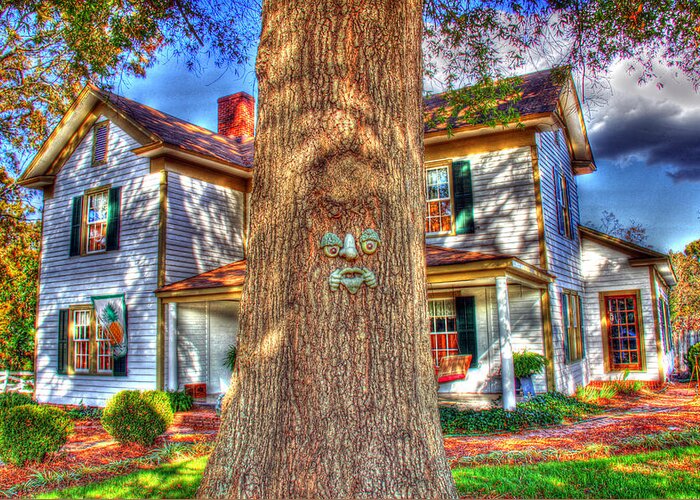 Hdr Greeting Card featuring the photograph Face in the tree HDR by Andy Lawless