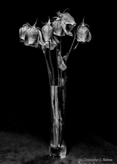 Flower Greeting Card featuring the photograph Faded Long Stems - BW by Christopher Holmes