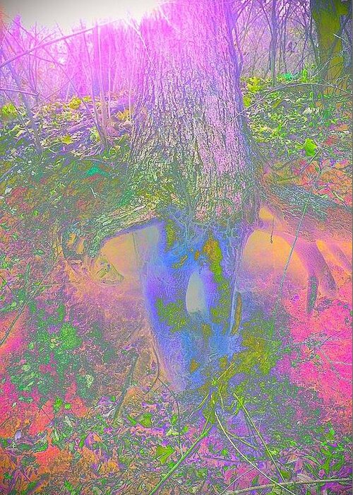 Tree Greeting Card featuring the photograph Fairy Tree by Karen Newell