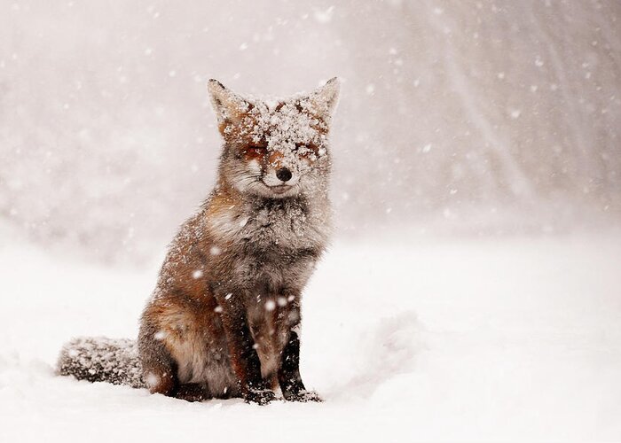 Fox Greeting Card featuring the photograph Fairytale Fox _ Red Fox in a Snow Storm by Roeselien Raimond