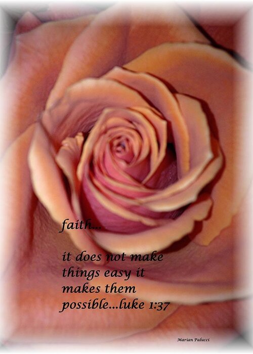Rose Greeting Card featuring the photograph Faith by Marian Lonzetta