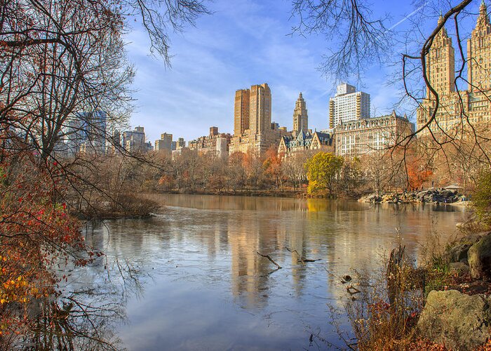 Ny Central Park Greeting Card featuring the photograph Fall Afternoon At Central Park by Tim Reaves