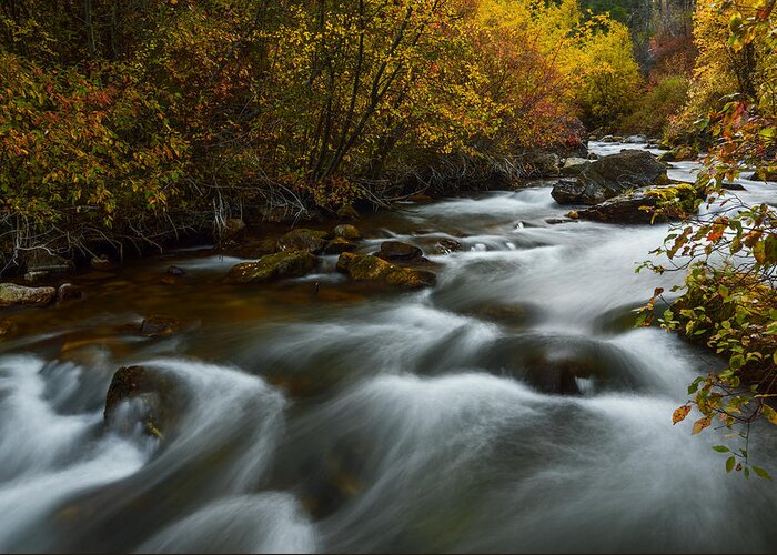 Palisades Creek Greeting Card featuring the photograph Fall along Palisades creek Idaho by Vishwanath Bhat
