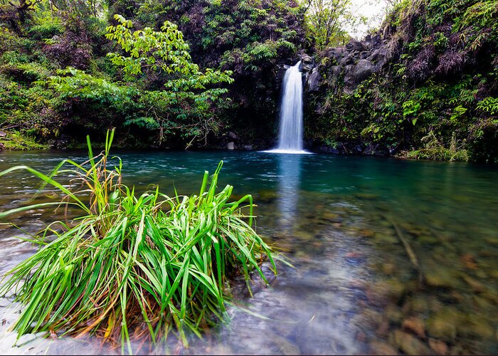 Maui Greeting Card featuring the photograph Fall and Pool by David Buhler