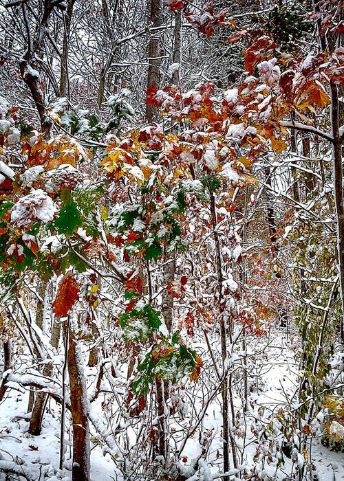 Snow Greeting Card featuring the mixed media Fall and Winter by John Haldane