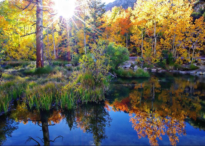 Aspen Trees Greeting Card featuring the photograph Fall Color Reflection along Bishop Creek by Scott McGuire