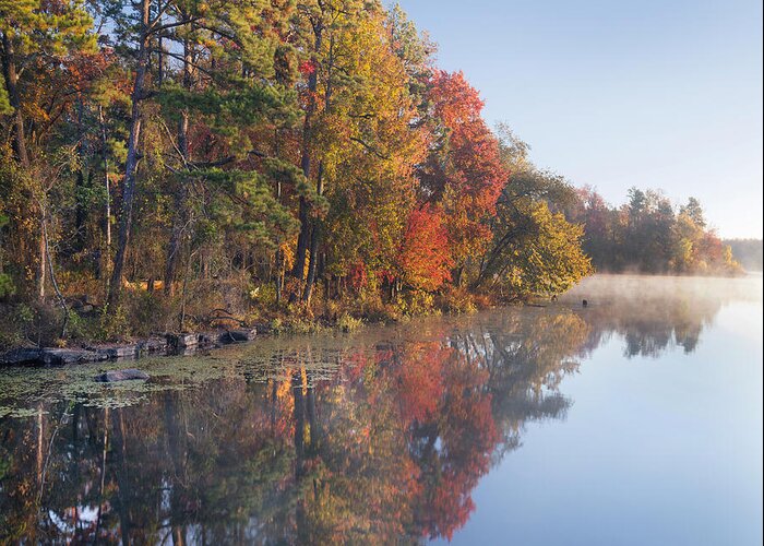 Tim Fitzharris Greeting Card featuring the photograph Fall Colors Along Lake Bailee In Petit by Tim Fitzharris