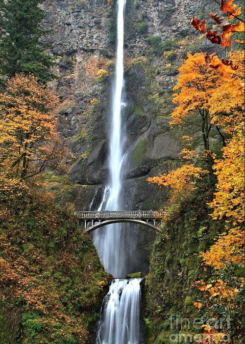 Multnomah Greeting Card featuring the photograph Fall Colors At Multnomah by Adam Jewell