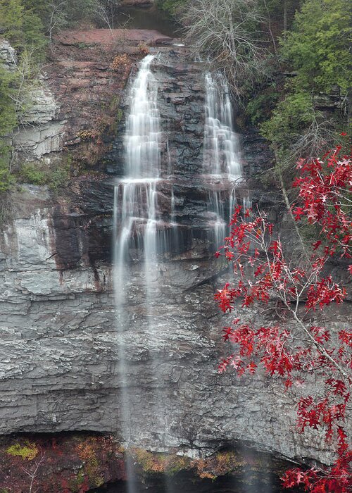 Tennessee Greeting Card featuring the photograph Fall Creek Falls by Robert Camp