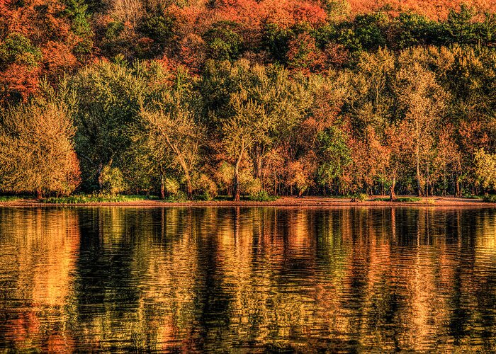 St. Croix River Greeting Card featuring the photograph Fall Foliage by Adam Mateo Fierro