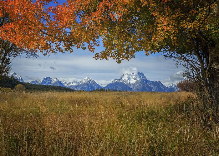 Fall Greeting Card featuring the photograph Fall in the Tetons by Jared Perry 