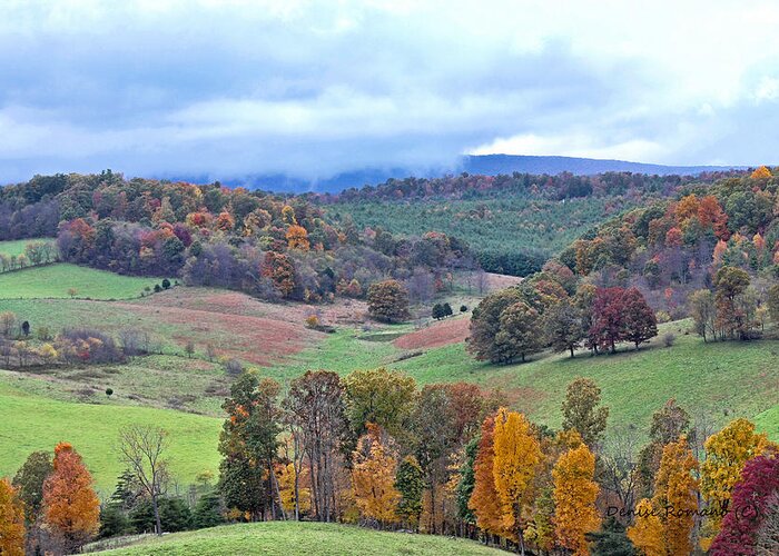 Fall Greeting Card featuring the photograph Fall In Virginia by Denise Romano