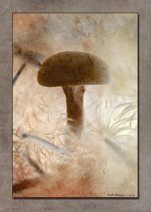 Mushroom Greeting Card featuring the photograph Fall Mushroom 5 by WB Johnston