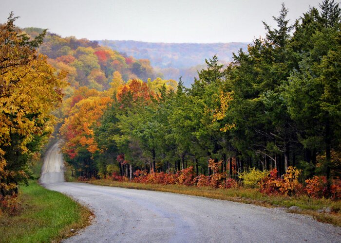 Fall Greeting Card featuring the photograph Fall on Fox Hollow Road by Cricket Hackmann