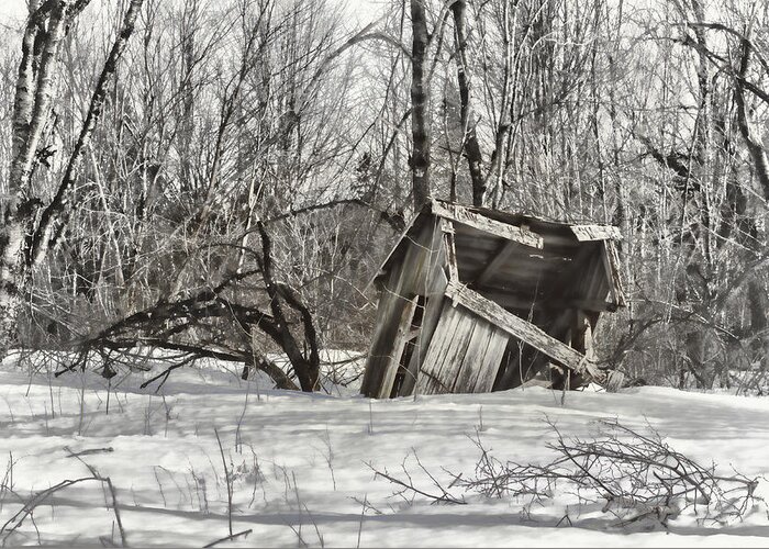 Outbuilding Greeting Card featuring the photograph Falling In by Sue Capuano