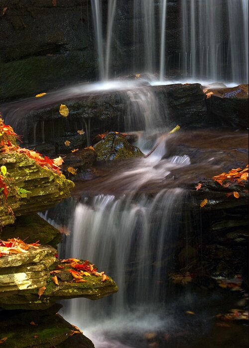 Ricketts Glen Greeting Card featuring the photograph Falls and Fall Leaves by Paul W Faust - Impressions of Light