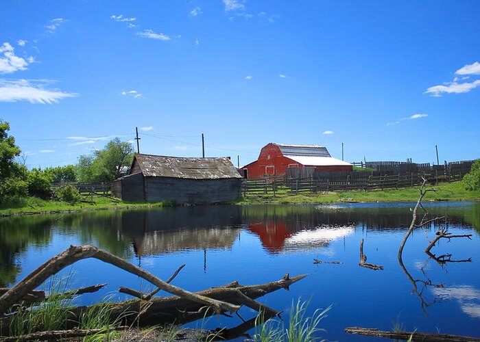 Farm Greeting Card featuring the photograph Farm Buildings and Pond. by Jim Sauchyn