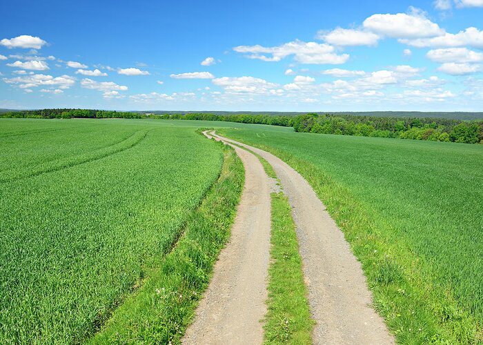 Environmental Conservation Greeting Card featuring the photograph Farm Road Through Green Fields In by Avtg