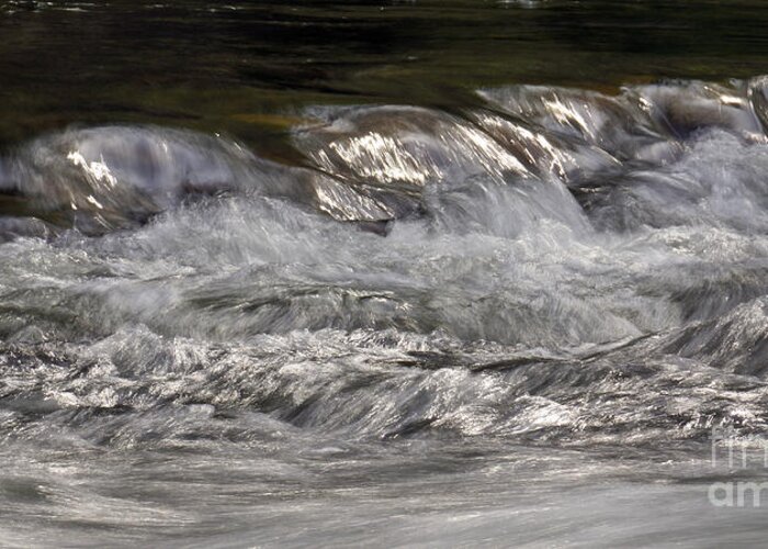 Water Greeting Card featuring the photograph Fast Flow by Inge Riis McDonald