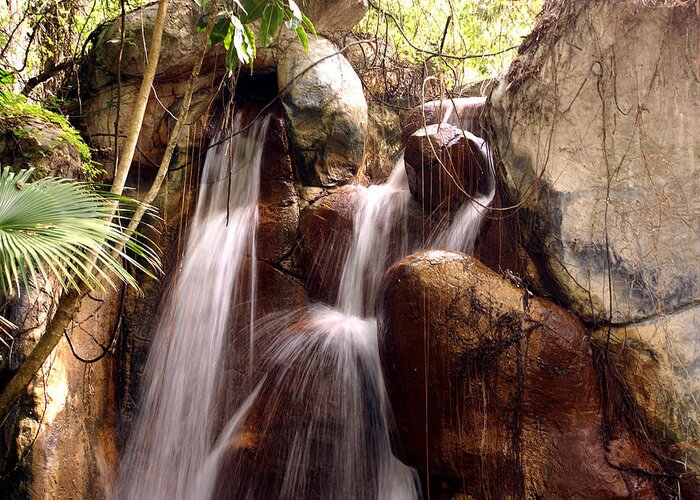 Waterfall Greeting Card featuring the photograph Fast Water by Chauncy Holmes