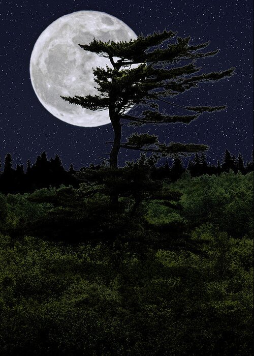 Tree In Silhouette Greeting Card featuring the photograph Favorite Tree in Full Moon Silhouette by Marty Saccone
