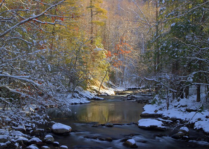 Winter Stream Greeting Card featuring the photograph February In The Smokies by Michael Eingle