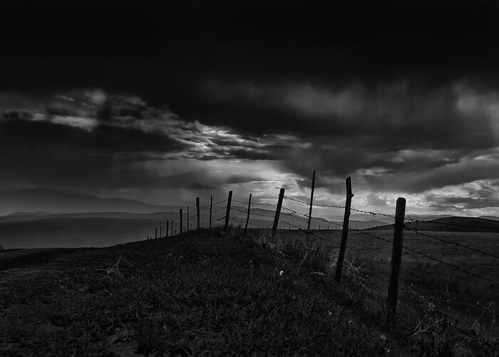 Black And White Greeting Card featuring the photograph Fence Line by Theresa Tahara