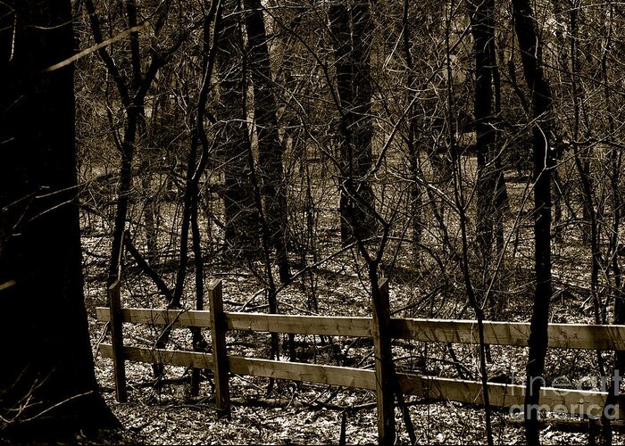 Blackandwhite Greeting Card featuring the photograph Fence In The Woods by Frank J Casella