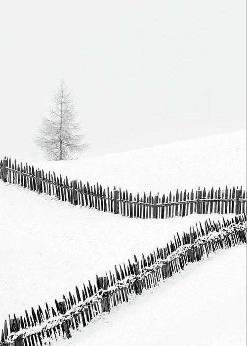 Snow Greeting Card featuring the photograph Fences: Playing With Lines by Vito Miribung