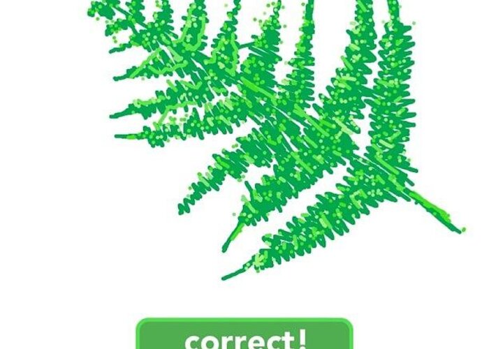 Draw Greeting Card featuring the photograph #fern #fernds #drawsomething by Michelle Cronin
