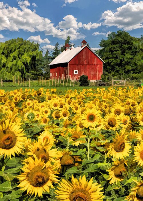 Door County Greeting Card featuring the painting Field of Sunflowers by Christopher Arndt