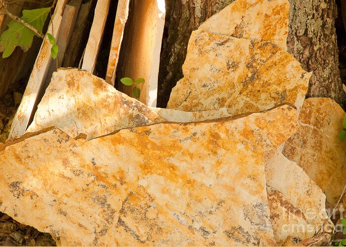 Nature Greeting Card featuring the photograph Field Stones by Lena Wilhite