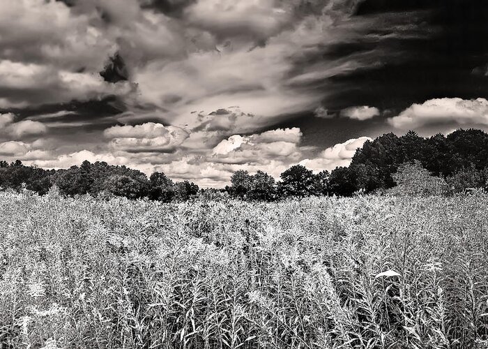 Black And White Greeting Card featuring the photograph Fields of Gold and Clouds by Mitchell R Grosky