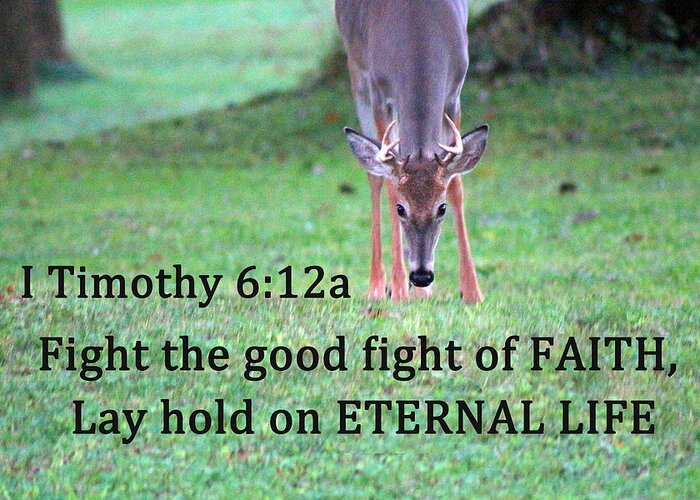 Deer Greeting Card featuring the photograph Fight of Faith by Lorna Rose Marie Mills DBA Lorna Rogers Photography