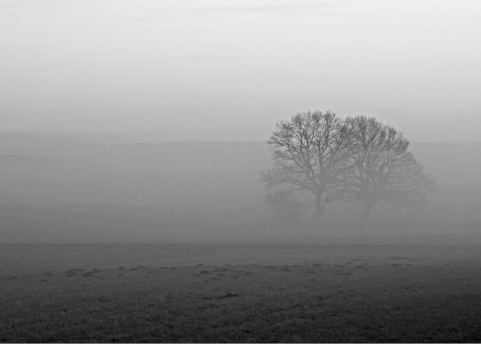 Fog Greeting Card featuring the photograph Finding our Way by Miguel Winterpacht