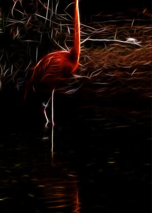 Fire Flamingo Greeting Card featuring the photograph Fire Flamingo by Weston Westmoreland