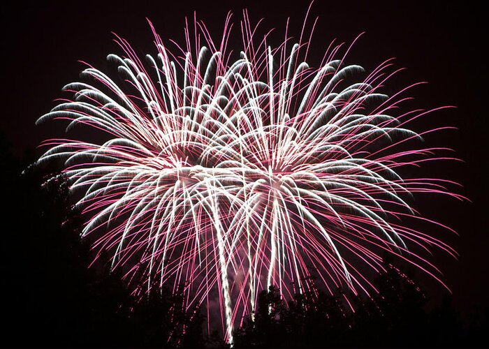 Colors Greeting Card featuring the photograph Fireworks bursts colors and shapes 7 by SC Heffner