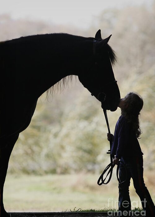 Horse Greeting Card featuring the photograph First Kiss by Carol Lynn Coronios