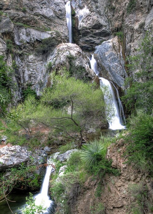 Waterfall Greeting Card featuring the photograph Fish Canyon Falls by Eddie Yerkish
