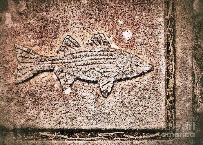 Manhole Cover Greeting Card featuring the photograph Fish by Patricia Greer