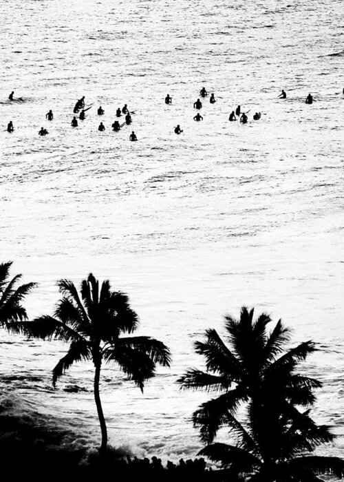 Black And White Greeting Card featuring the photograph Fisher Palms by Sean Davey