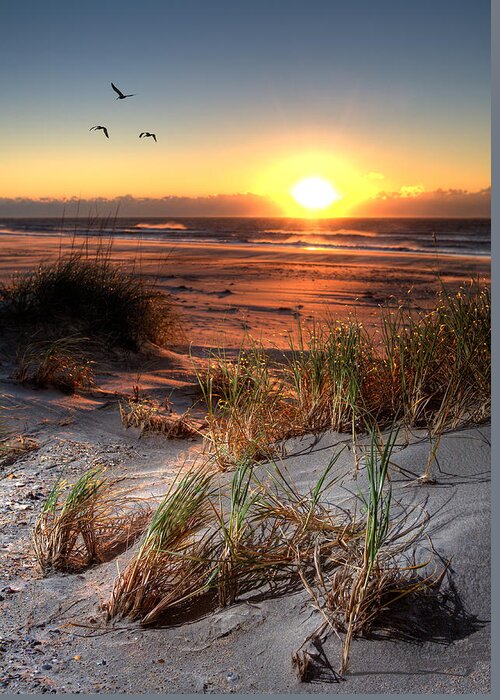 Outer Banks Greeting Card featuring the photograph Flaming Dunes of Sand - Outer Banks by Dan Carmichael