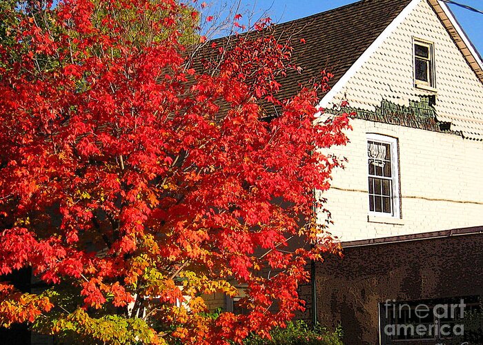 Fall Greeting Card featuring the photograph Flaming fall colours on farm house by Nina Silver